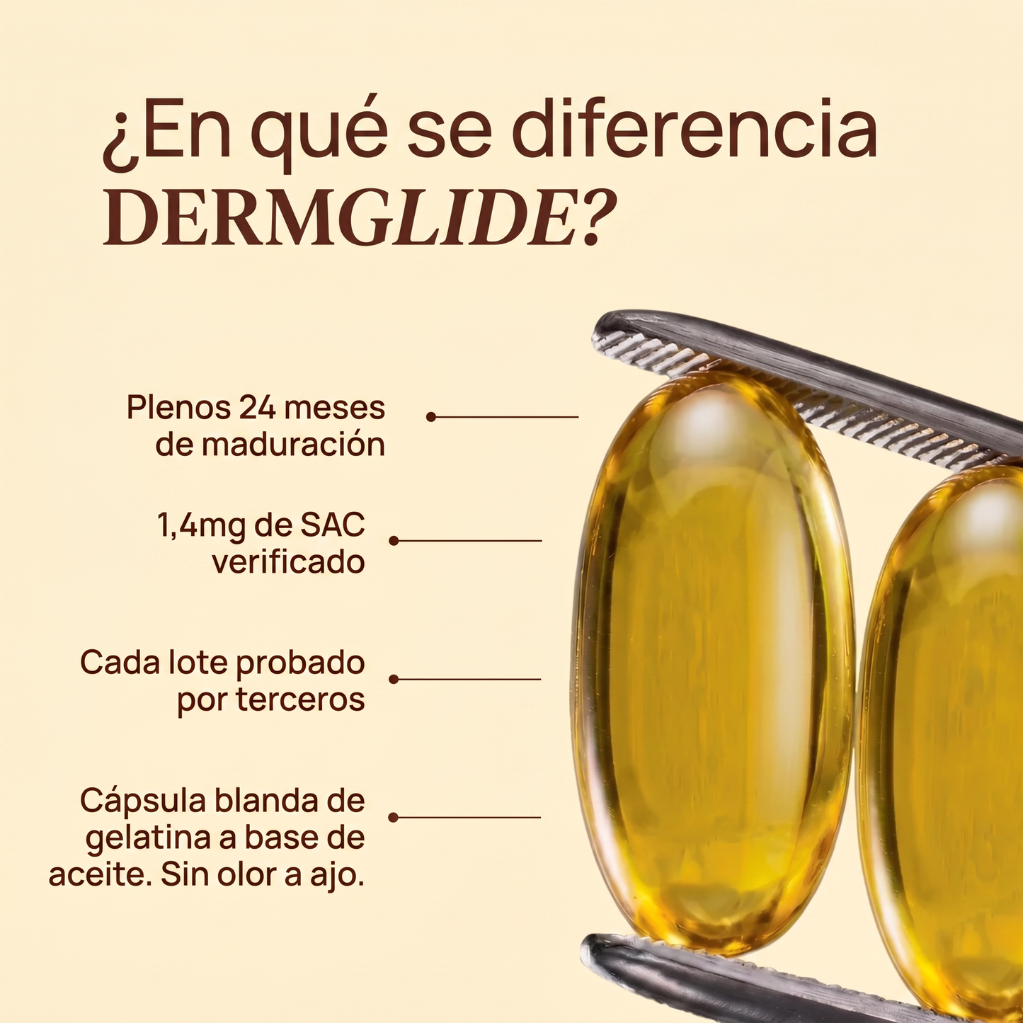 Extracto de ajo envejecido — apoyo incluso antes de recurrir a medicamentos con receta.
